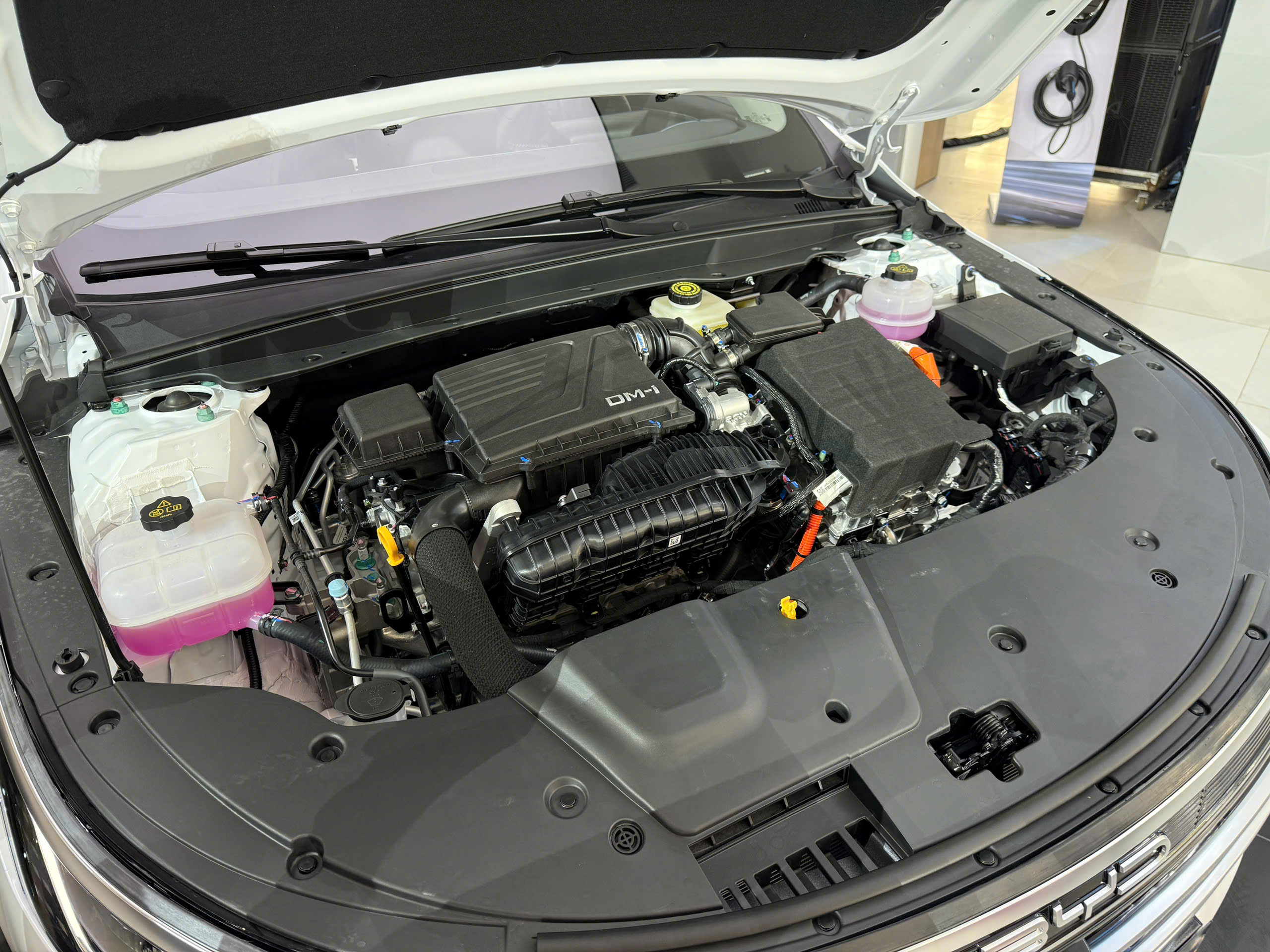 BYD Seal 5-6.jpg BYD Seal 5-6.jpg
