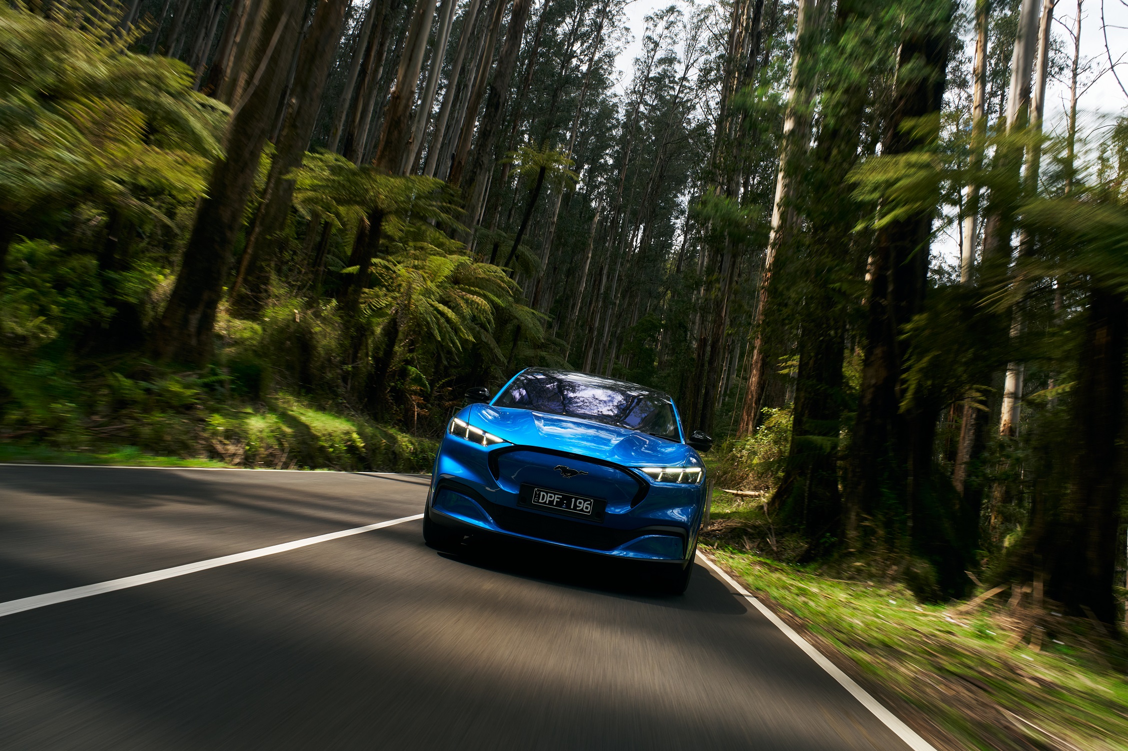 Ford Mustang Mach-E (1).jpg