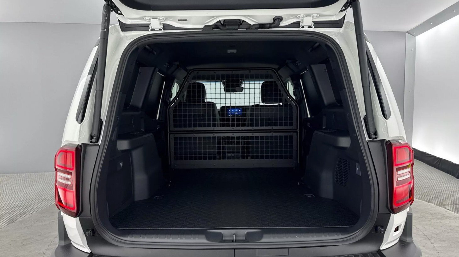 Land Cruiser 8.JPG