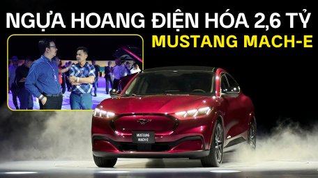 mustang-mach-e.jpg