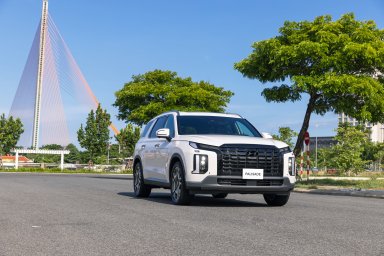 Hyundai Palisade.jpg