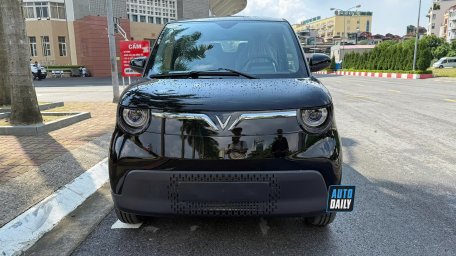 Minio Green  (2).jpg