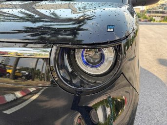 Minio Green  (3).jpg