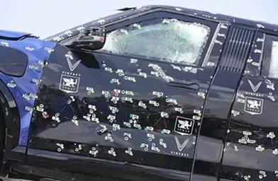 Lac Hong 900 LX 3.jpg